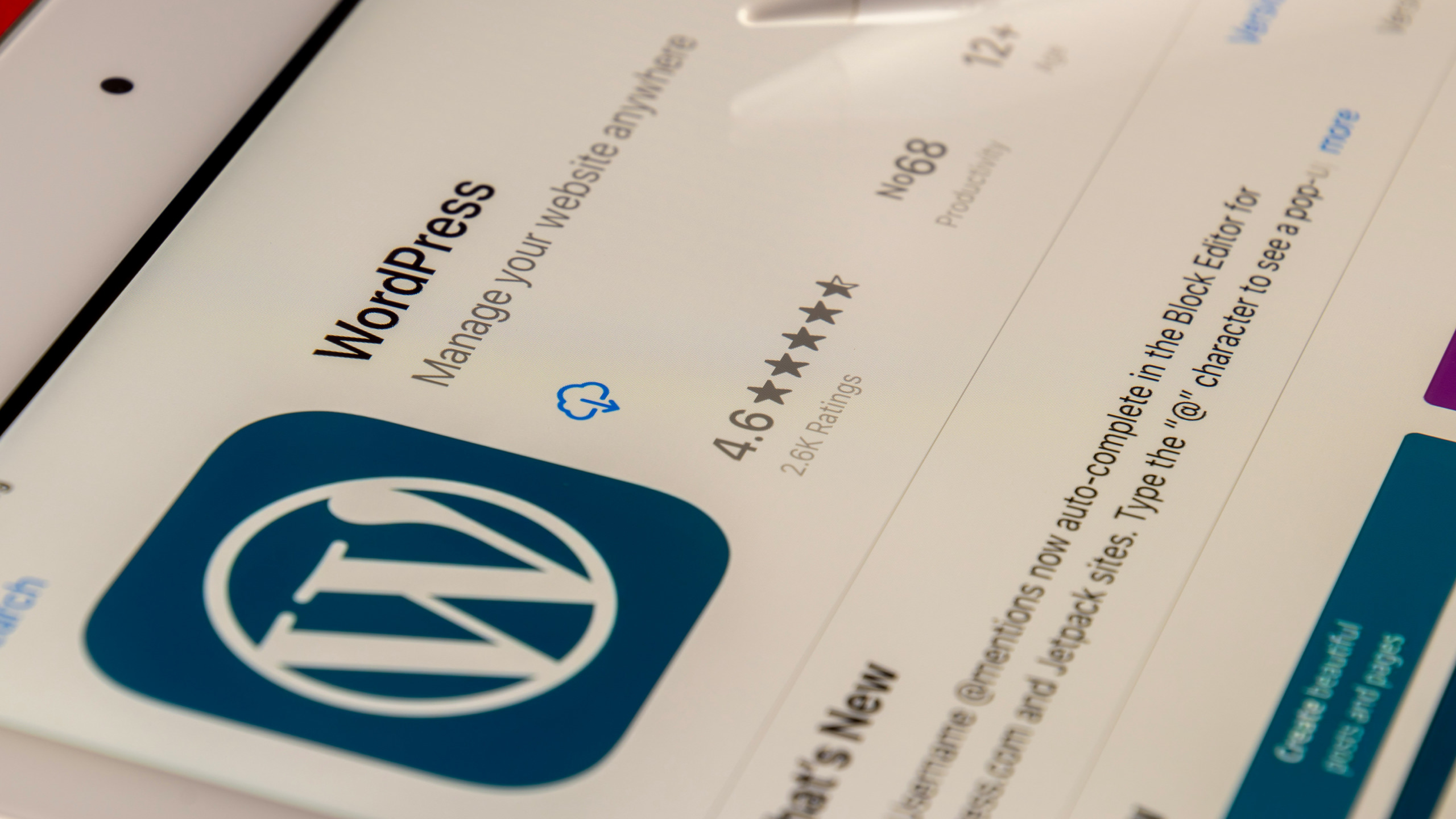 Wat moet je doen om je WordPress Website te onderhouden?